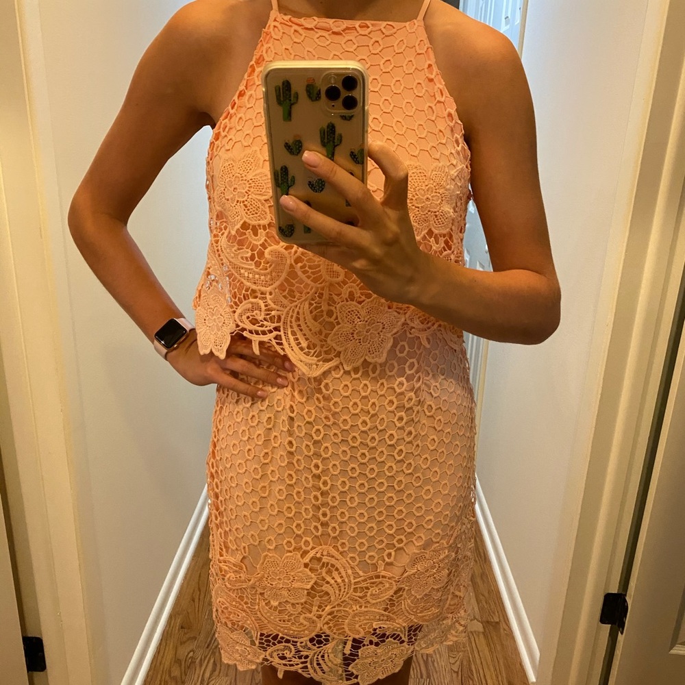 BB Dakota Blush Pink Lace Dress